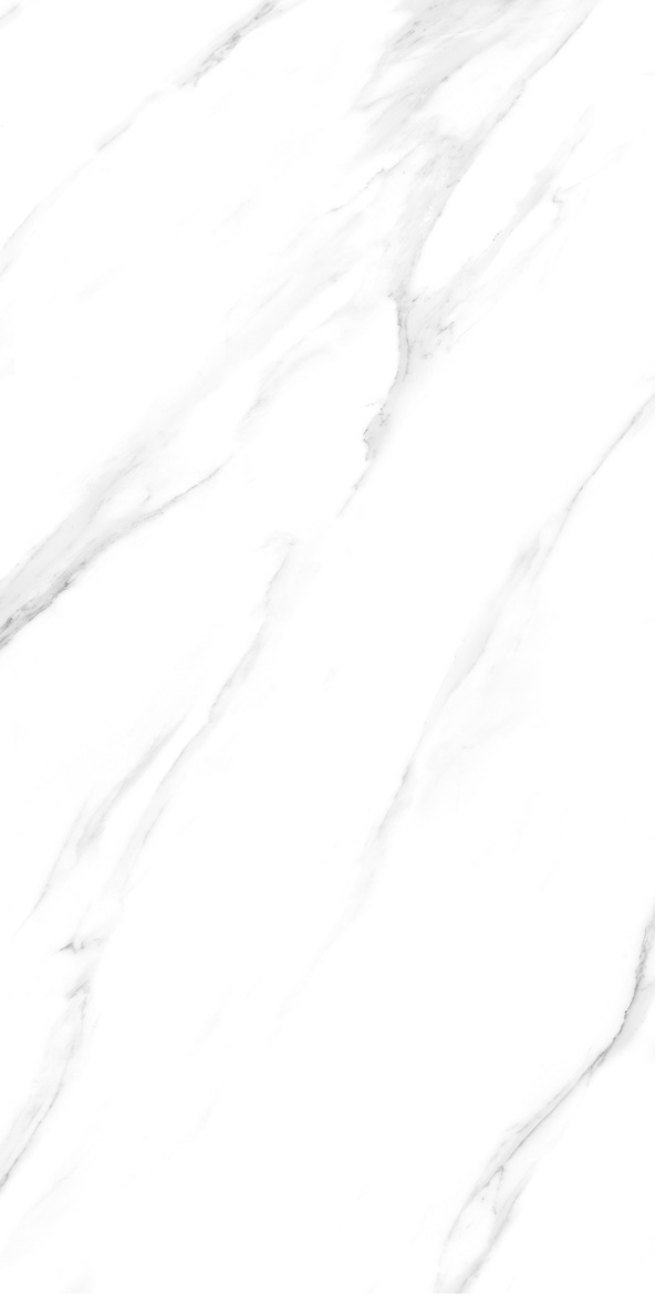 ARTIC BLANC